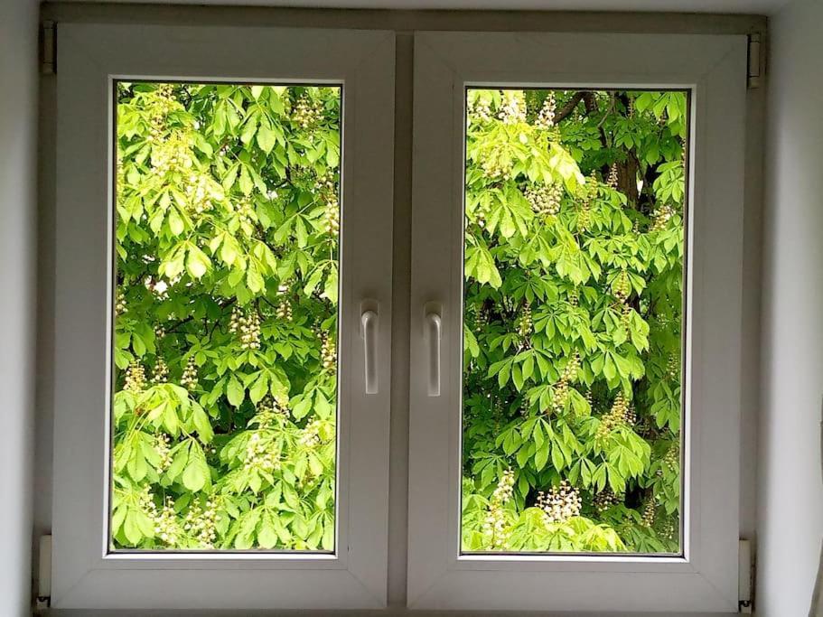 White Door Apartments Heart Of Odessa 4 Exterior foto